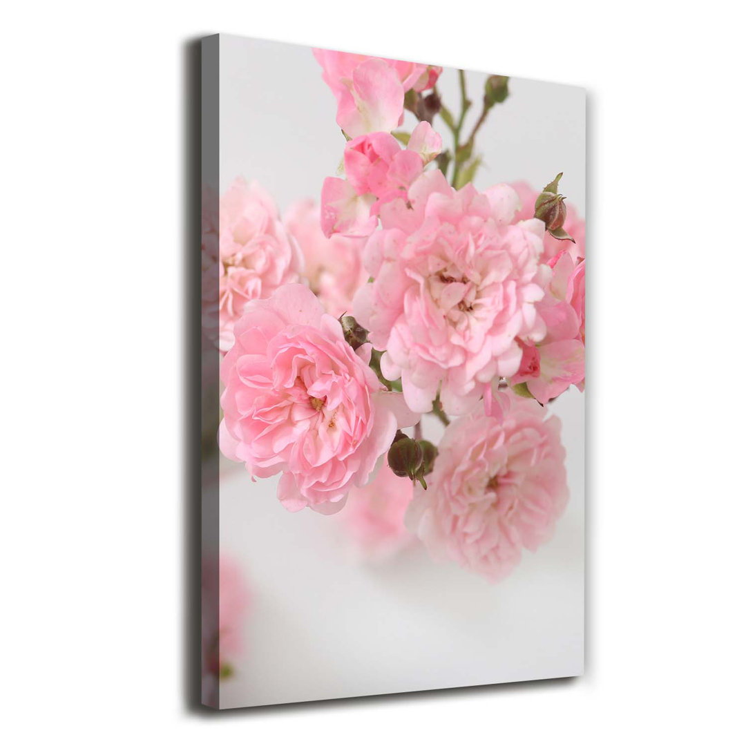 Wild Rose - Kunstdrucke auf Leinwand - Wrapped Canvas