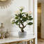 20" Artificial Camellia Tree With Realistic Flowers, Faux Bonsai Tree In Decorative Pot-372449947