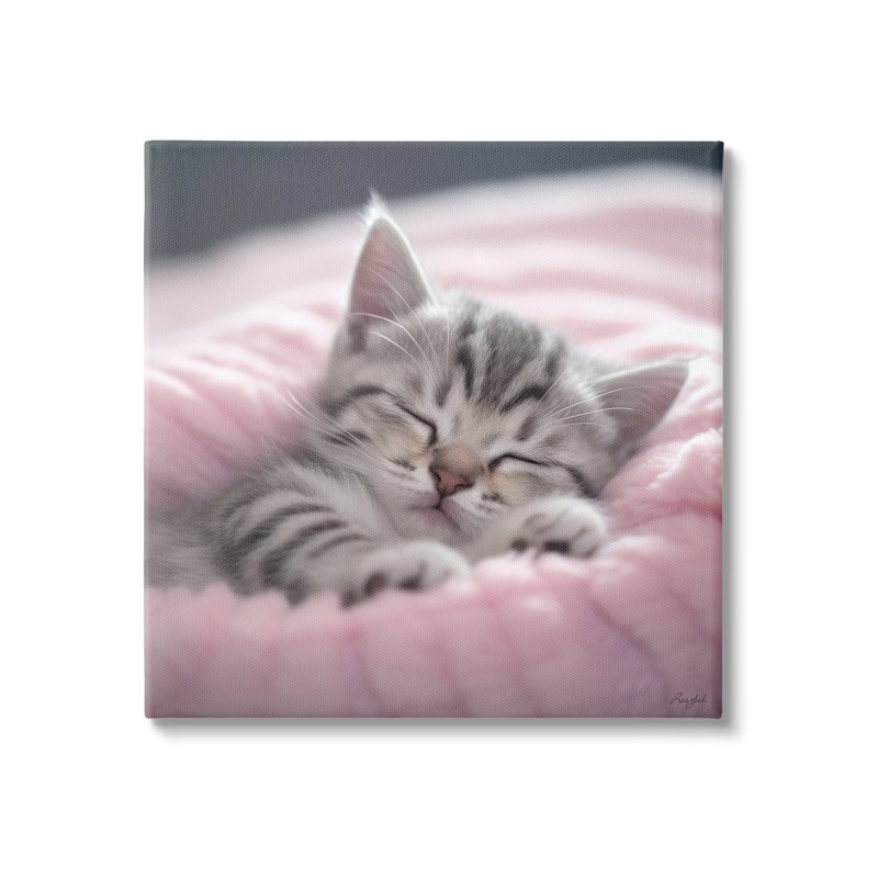 " Soft Kitten Tucked In " by Roozbeh, 30" H x 30" W x 1.5" D