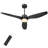 Tibuh 52'' Ceiling Fan with LED Lights-1409973408