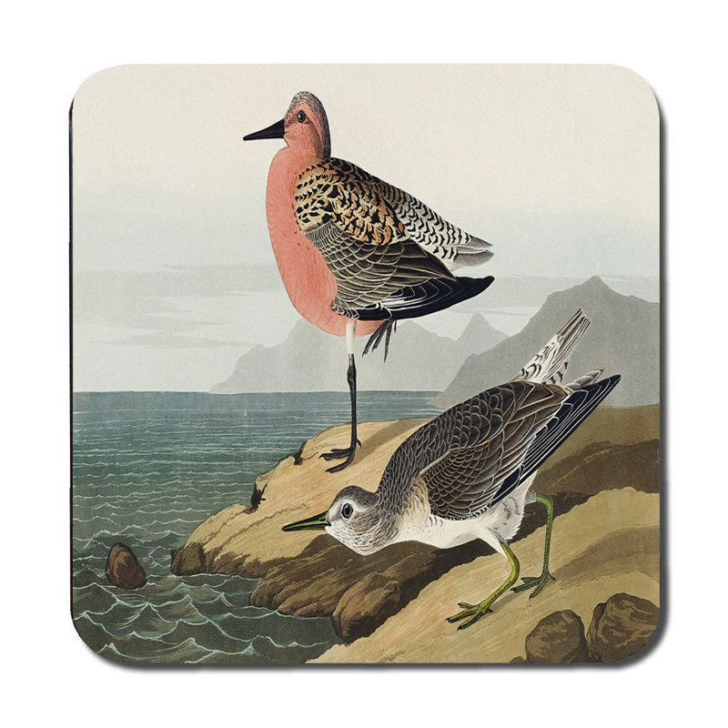Birds on the Shore Placemat and Coaster Set Vintage Illustration