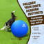 Balle de bout pour chien GoSports
