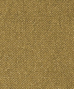 Genesis Fabric