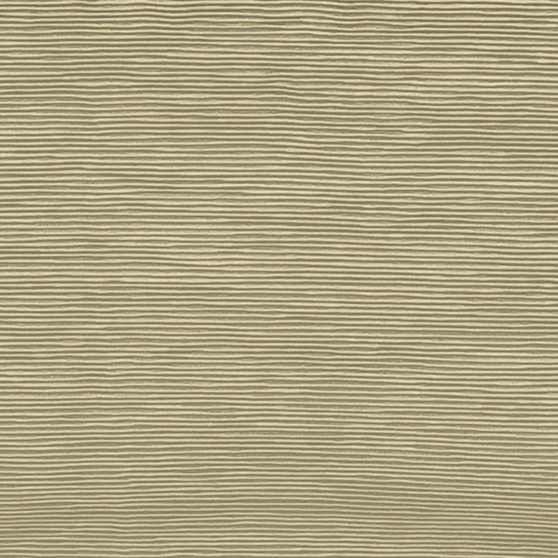 Tissu, Champagne