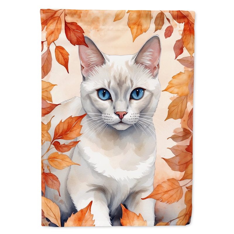 Chat en feuilles d'automne, Blanc étranger