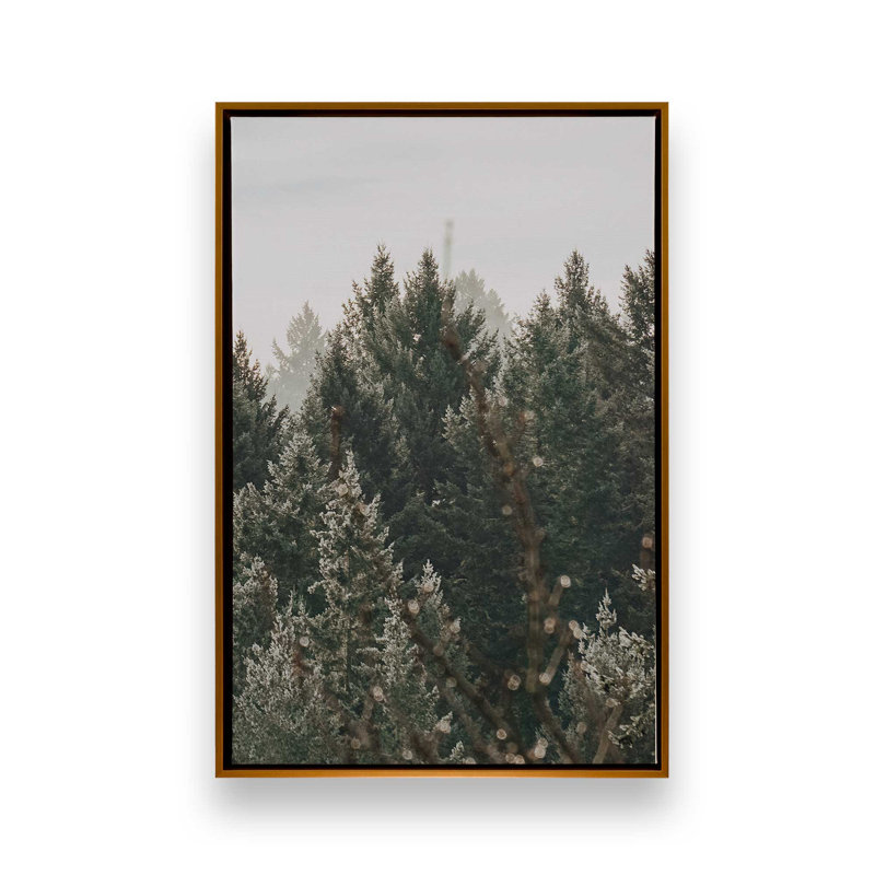 Impression sur toile Hush Evergreen III, H 18,75 po x l 12,75 po x P 1,75 po, Cadre flottant or poli