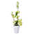 Vert est en rupture de stock