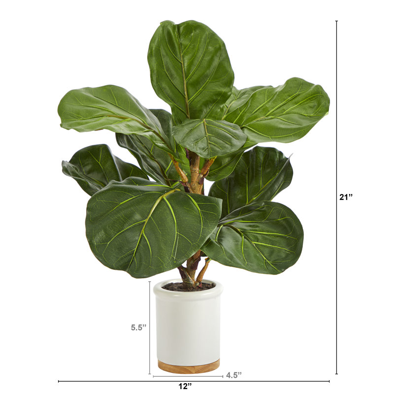 Figuier à feuilles artificielle en pot, H 21 po x l 12 po x P 12 po