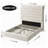 Kanisha Upholstered Storage Bed with Button Tufted Flannel Headboard, 4 Drawers-1904138402-1904138403