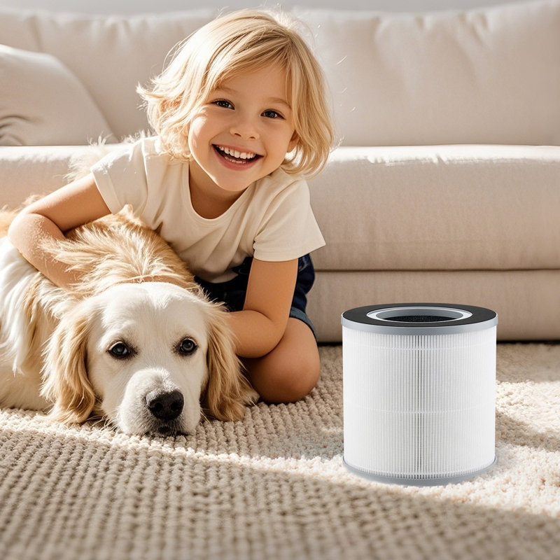 3-in-1 Air Purifier Replacement Filter H13 Filter with PP Pre-Filter