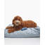 Signature Pillow/Classic Bed-1520193533-1520193527