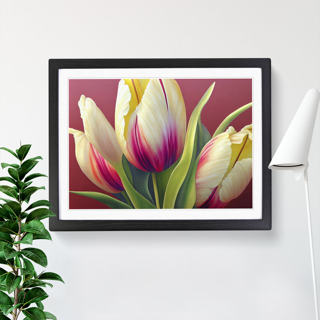 Dazzling Tulip Flowers - Single Picture Frame Print