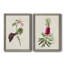 «Pretty Pink Botanicals VI», toile encadrée de qualité supérieure - prête à être accrochée-634549778-634549776