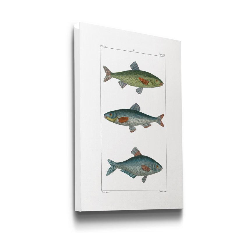" Freshwater Fish III ", 27" H x 18" W x 1" D