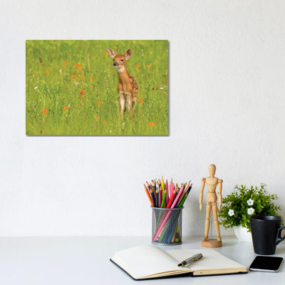 Pine County. Captive fawn. 1 Piece Wrapped Canvas Wall Art