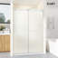 Porte de douche coulissante double sans cadre avec verre givré l 56-61 "x H 79"-126719430