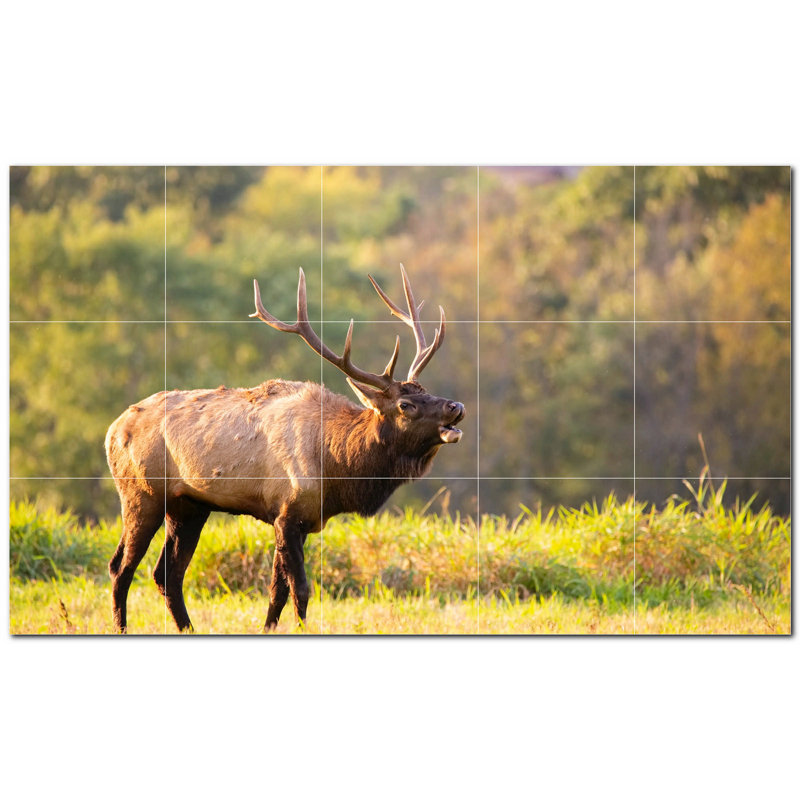 Deer Photo 8'' x 8'' Satin Ceramic Decorative Mural