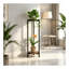 Plant Stand