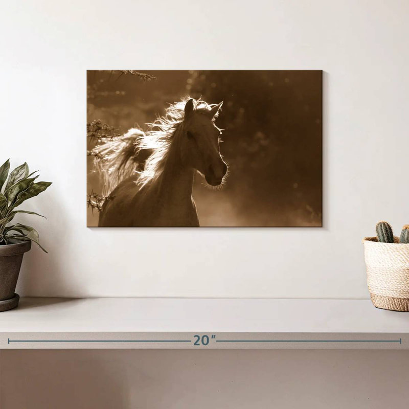 Brampt Wild Arabian Horse