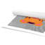 Impression sur papier Tigert Lane Tiger Lane-47833549-47482585