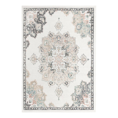 Oriental Indoor Rug