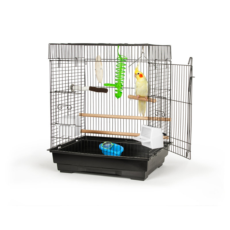 Cage à oiseaux