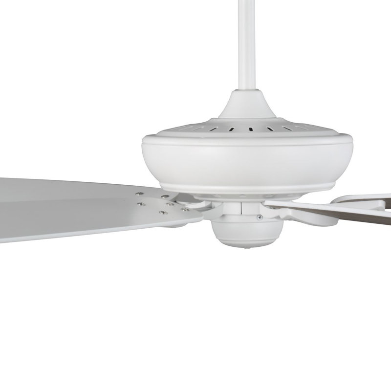 Oreilly 72'' Ceiling Fan, Matte White