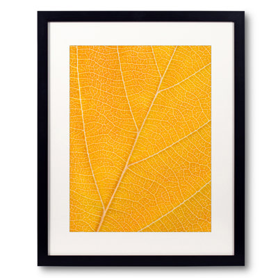 Autumn Leaf Print by Philippe Monthoux