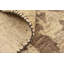 Tapis en laine beige/brun 8 pi 2 po x 9 pi 10 po one-of-kind à la main noué la new Finchley