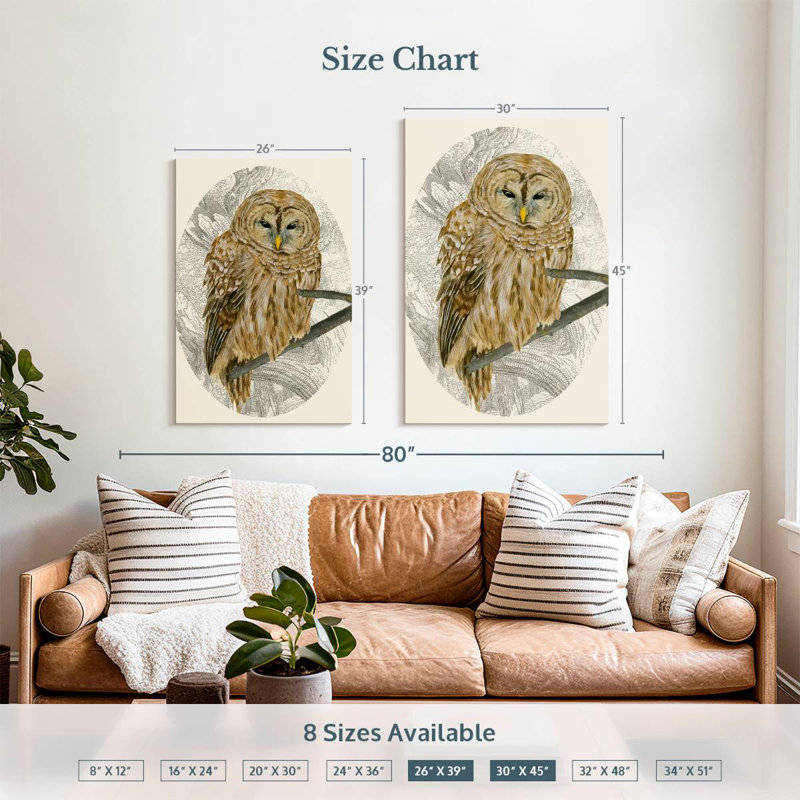 Brampt Barred Owl I, 39" H x 26" W