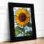Stained Glass Sunflower Botanical - Print-2326844-2326846