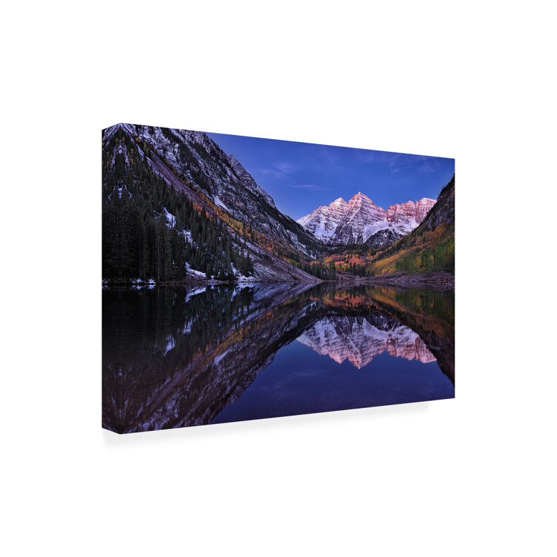 Art sur toile «Bachelor Belli Twilight», H 16 po x l 24 po
