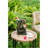 8.3X4.7X13.8" Decorative Woodland Gnome Water Fountain With LED Light, Brown