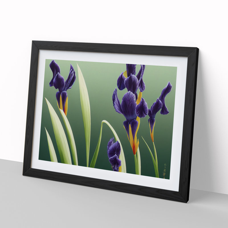 Shimmering Iris Flowers - Framed Print, 34cm H x 46cm W x 2cm D, Black