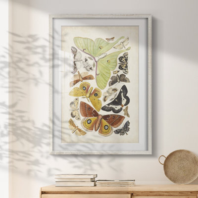 Lumen Colour II -Gallery Wrapped Canvas