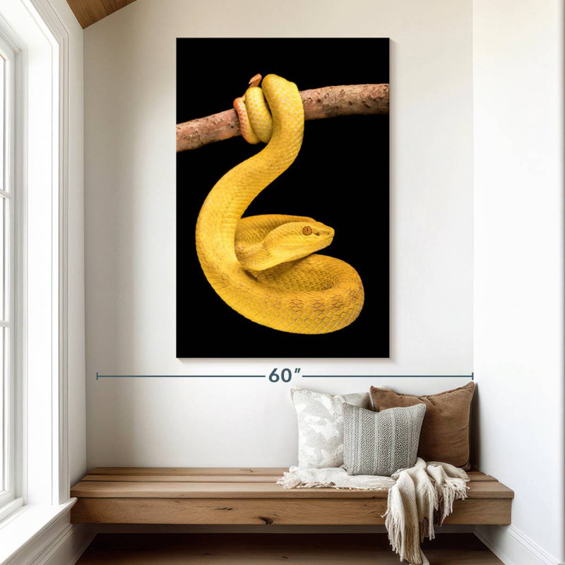 Brampt Venomous Pit Viper, 51" H x 34" W