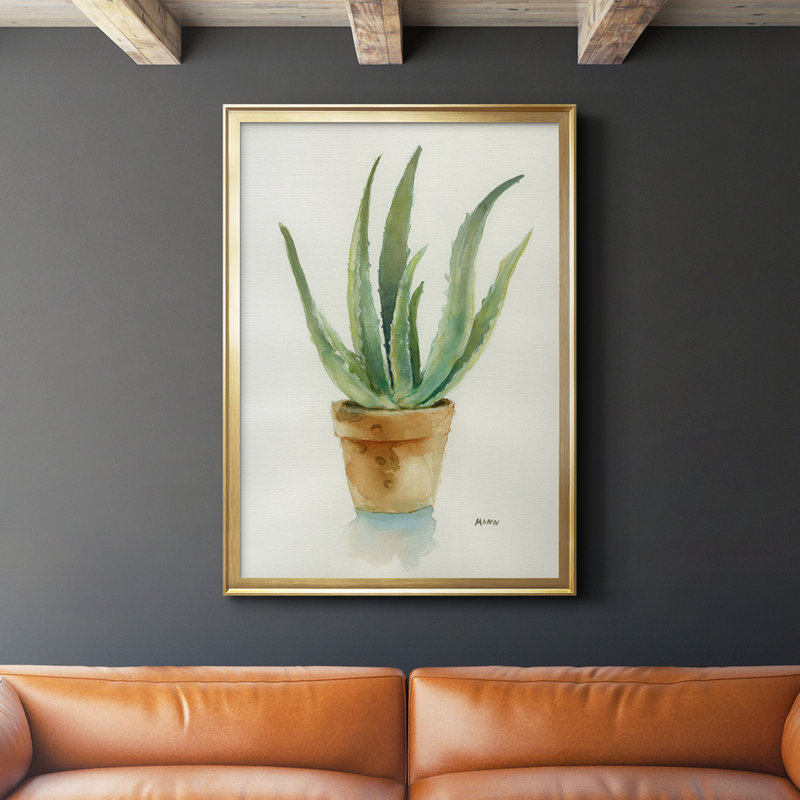 Succulent IV, reproduction encadrée de qualité supérieure, prête à être accrochée, Encadrement doré, L 30,5 po x H 42,5 po