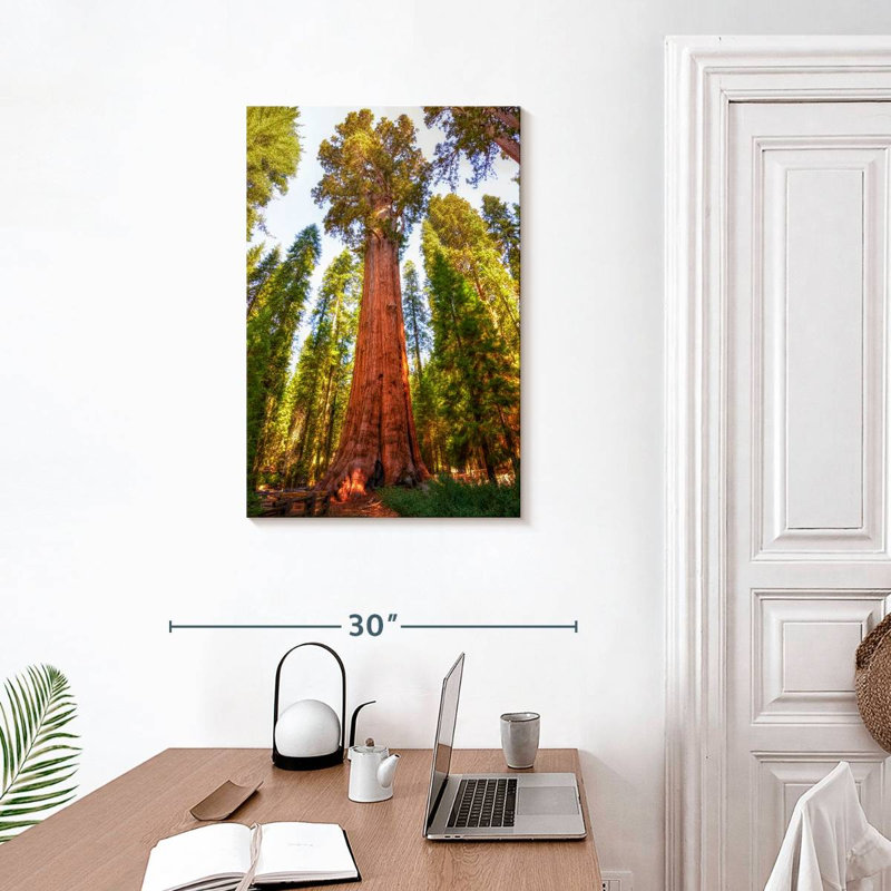 Harnek Redwood Tree Grove, 30" H x 20" W