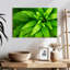 Gouttelettes Harnek sur feuilles vertes-108732389