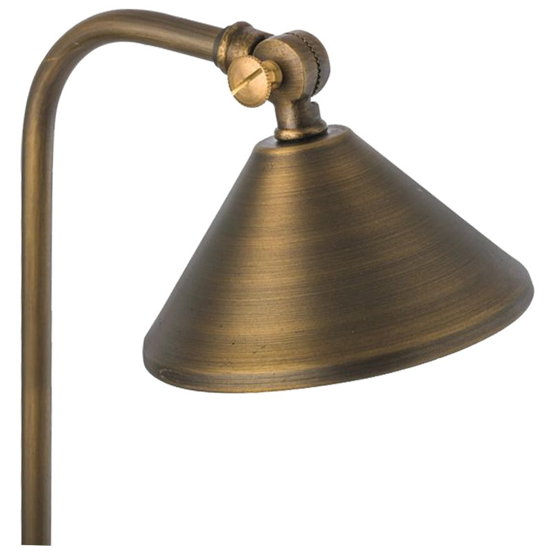 Natural Brass 21.75'' LED Pathway Light with Directional Fixture