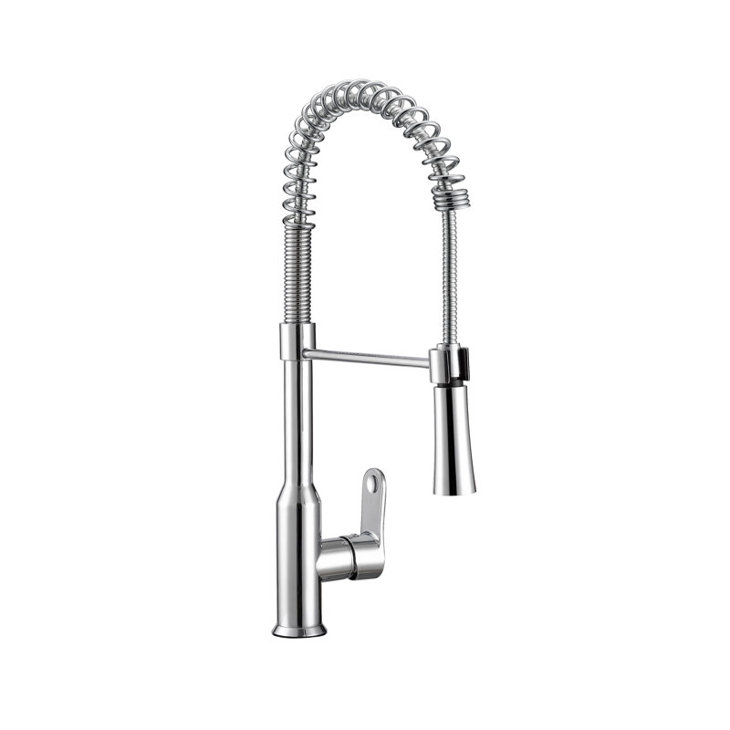 Safavieh Euphoria Pull Down Kitchen Faucet