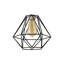 Carnegie 20cm H Metal Novelty Pendant Shade ( Clip On )-40371756