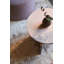 Wilder Pearl Area Rug-304379342