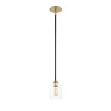 Arcwell 1-Light Pendant - Clear Glass - Matte Black w/ Brass Accents Finish