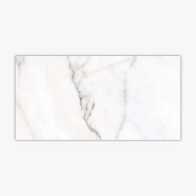 12" x 24" Porcelain Stone Look Wall & Floor Tile