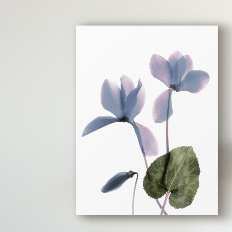 «Xray Cyclamen» par Judy Stalus, reproduction d'art sur toile, H 24 po x l 18 po x P 2 po