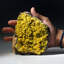 Mimetite from San Pedro Mine, San Pedro Corralitos, Chihuahua, Mexico