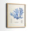 Blue Marine Algae IX-Premium Framed Print -Ready to Hang - No Nails Required - No Nails Required-382715404-382715405