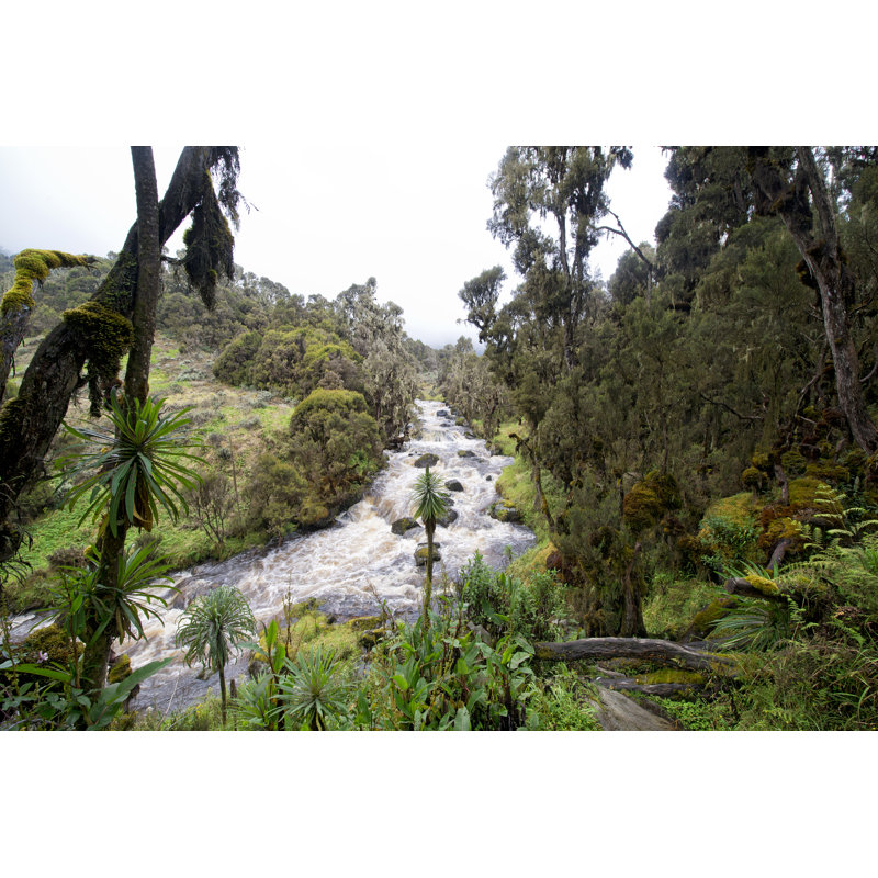 Bujuku River - Wrapped Canvas Print