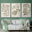 «Sepia Botanical Journal I», ensemble de 3 reproductions encadrées sur toile-97706319-97706324